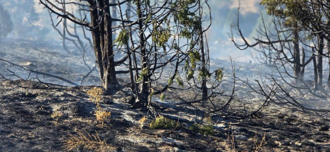 Konya’da piknikçi ateşi ormanı yaktı 7